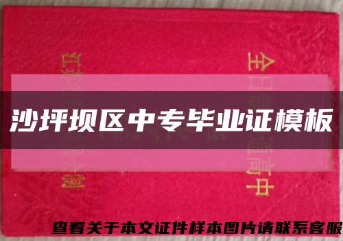 沙坪壩區中專畢業證模板縮略圖