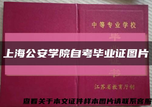 上海公安學院自考畢業證圖片縮略圖