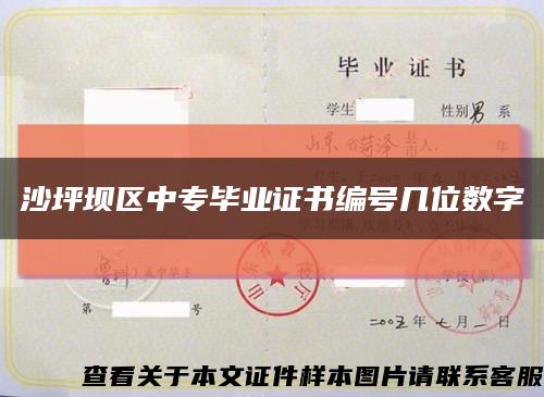 沙坪壩區中專畢業證書編號幾位數字縮略圖