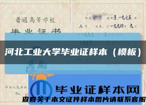 河北工業大學畢業證樣本（模板）縮略圖