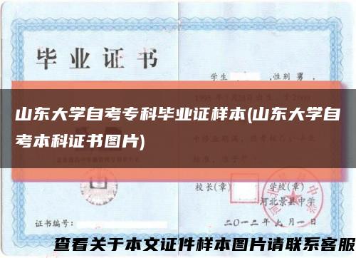 山東大學自考?？飘厴I證樣本(山東大學自考本科證書圖片)縮略圖