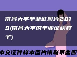 南昌大學畢業證圖片2019(南昌大學的畢業證啥樣子)縮略圖