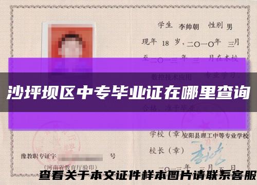 沙坪壩區中專畢業證在哪里查詢縮略圖