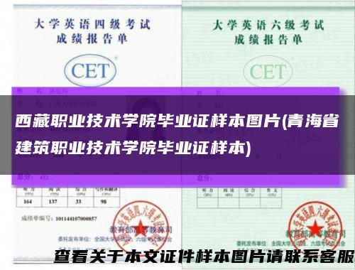 西藏職業技術學院畢業證樣本圖片(青海省建筑職業技術學院畢業證樣本)縮略圖