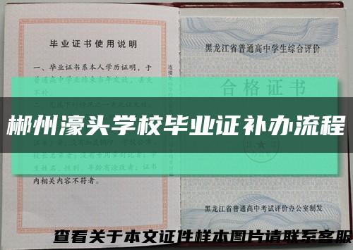 郴州濠頭學校畢業證補辦流程縮略圖