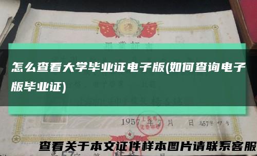 怎么查看大學畢業證電子版(如何查詢電子版畢業證)縮略圖
