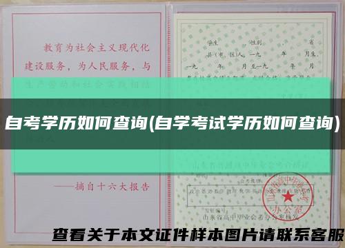 自考學歷如何查詢(自學考試學歷如何查詢)縮略圖