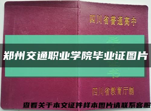 鄭州交通職業學院畢業證圖片縮略圖