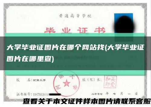 大學畢業證圖片在哪個網站找(大學畢業證圖片在哪里查)縮略圖