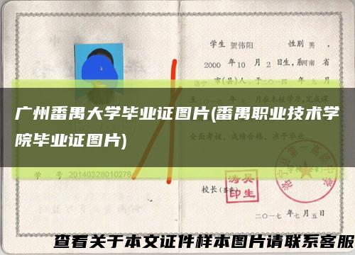 廣州番禺大學畢業證圖片(番禺職業技術學院畢業證圖片)縮略圖