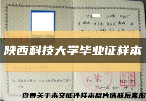 陜西科技大學畢業證樣本縮略圖