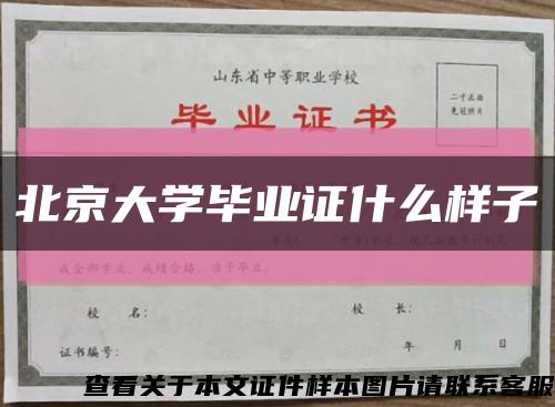 北京大學畢業證什么樣子縮略圖