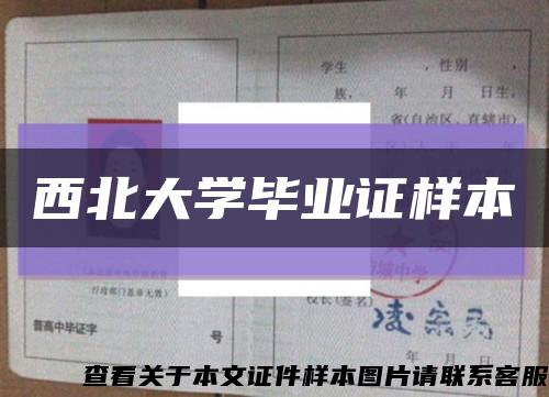 西北大學畢業證樣本縮略圖