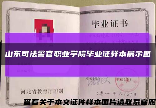 山東司法警官職業學院畢業證樣本展示圖縮略圖