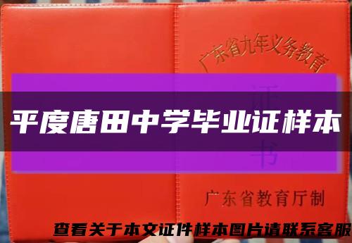 平度唐田中學畢業證樣本縮略圖