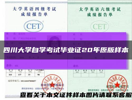 四川大學自學考試畢業證20年原版樣本縮略圖