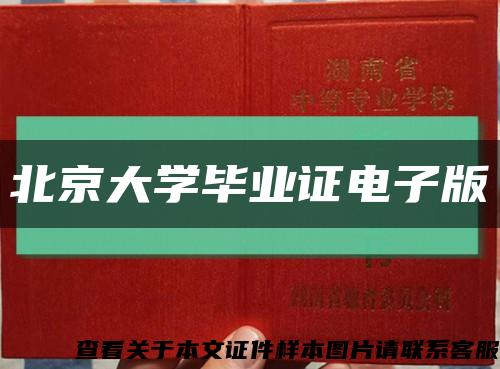 北京大學畢業證電子版縮略圖