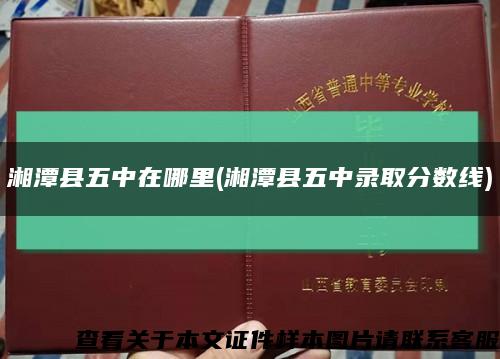 湘潭縣五中在哪里(湘潭縣五中錄取分數線)縮略圖