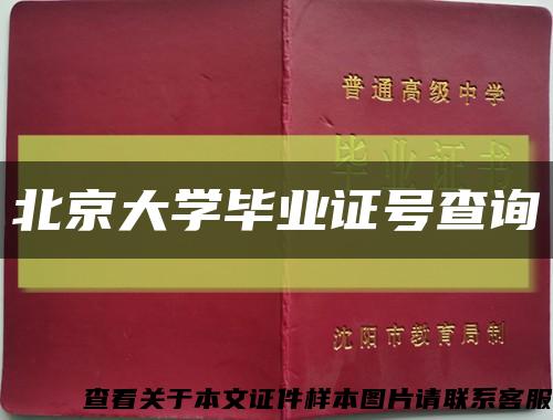 北京大學畢業證號查詢縮略圖