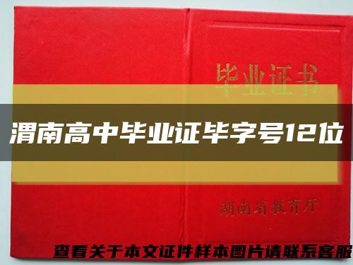 渭南高中畢業證畢字號12位縮略圖
