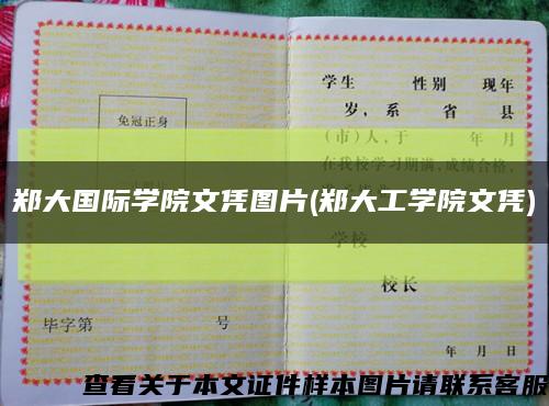 鄭大國際學院文憑圖片(鄭大工學院文憑)縮略圖