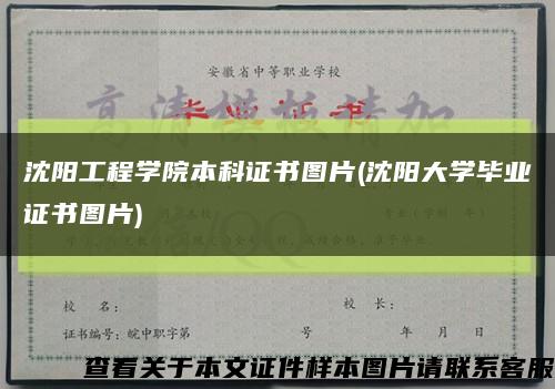 沈陽工程學院本科證書圖片(沈陽大學畢業證書圖片)縮略圖