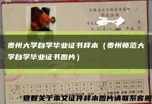 貴州大學自學畢業證書樣本（貴州師范大學自學畢業證書圖片）縮略圖