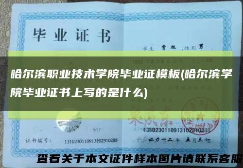 哈爾濱職業技術學院畢業證模板(哈爾濱學院畢業證書上寫的是什么)縮略圖