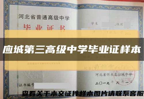 應城第三高級中學畢業證樣本縮略圖