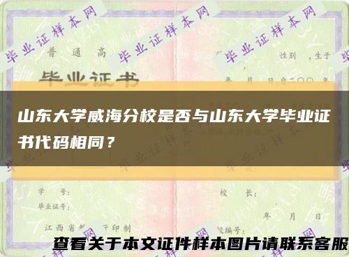 山東大學威海分校是否與山東大學畢業證書代碼相同？縮略圖