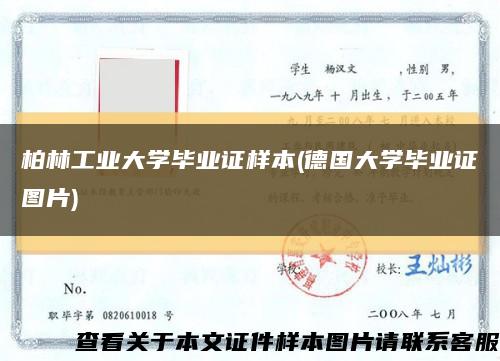 柏林工業大學畢業證樣本(德國大學畢業證圖片)縮略圖