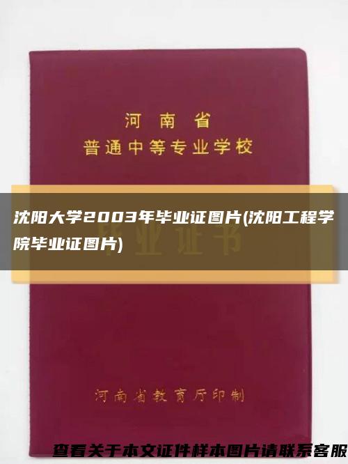 沈陽大學2003年畢業證圖片(沈陽工程學院畢業證圖片)縮略圖