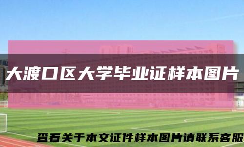 大渡口區大學畢業證樣本圖片縮略圖
