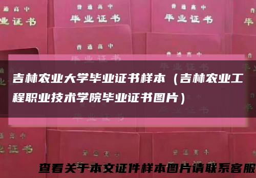 吉林農業大學畢業證書樣本（吉林農業工程職業技術學院畢業證書圖片）縮略圖