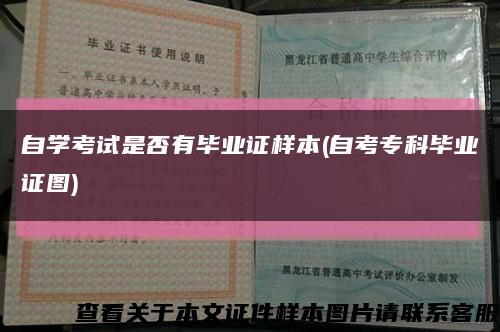 自學考試是否有畢業證樣本(自考?？飘厴I證圖)縮略圖