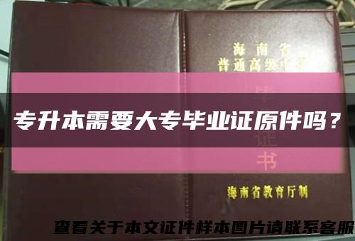 專升本需要大專畢業證原件嗎？縮略圖