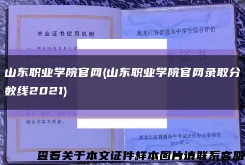 山東職業學院官網(山東職業學院官網錄取分數線2021)縮略圖