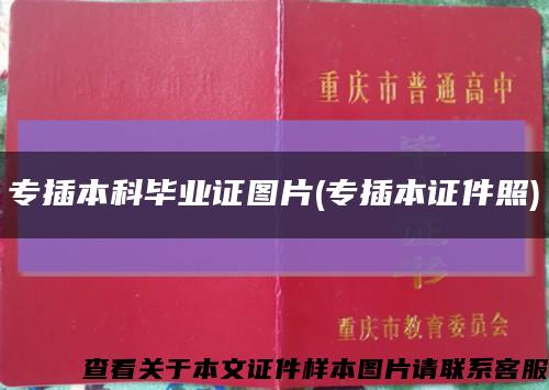 專插本科畢業證圖片(專插本證件照)縮略圖