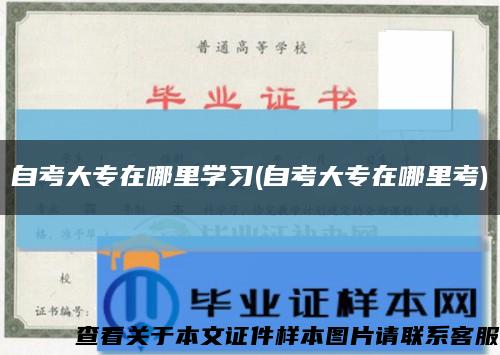 自考大專在哪里學習(自考大專在哪里考)縮略圖