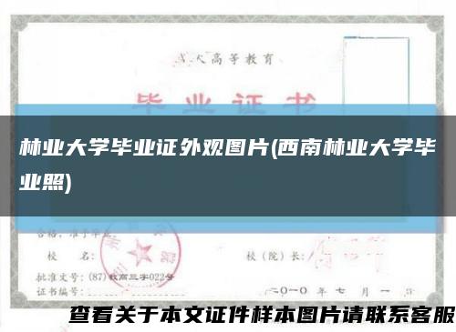 林業大學畢業證外觀圖片(西南林業大學畢業照)縮略圖
