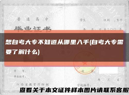 想自考大專不知道從哪里入手(自考大專需要了解什么)縮略圖
