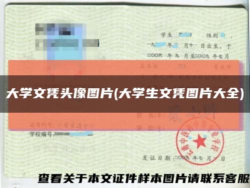 大學文憑頭像圖片(大學生文憑圖片大全)縮略圖