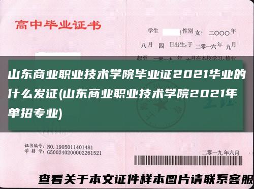 山東商業職業技術學院畢業證2021華業的什么發證(山東商業職業技術學院2021年單招專業)縮略圖