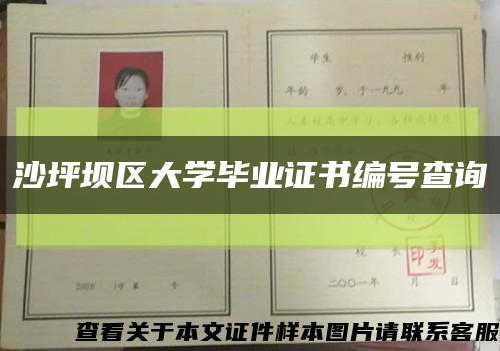 沙坪壩區大學畢業證書編號查詢縮略圖