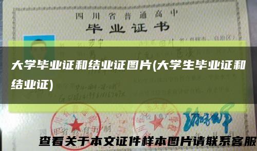 大學畢業證和結業證圖片(大學生畢業證和結業證)縮略圖