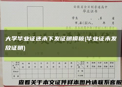 大學畢業證還未下發證明模板(畢業證未發放證明)縮略圖
