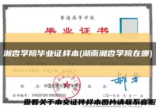 湘杏學院畢業證樣本(湖南湘杏學院在哪)縮略圖