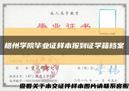 梧州學院畢業證樣本報到證學籍檔案縮略圖