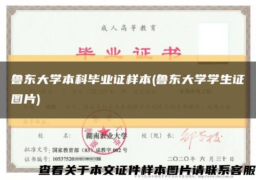 魯東大學本科畢業證樣本(魯東大學學生證圖片)縮略圖