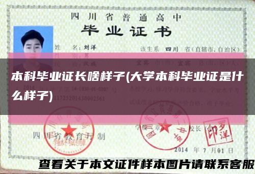 本科畢業證長啥樣子(大學本科畢業證是什么樣子)縮略圖